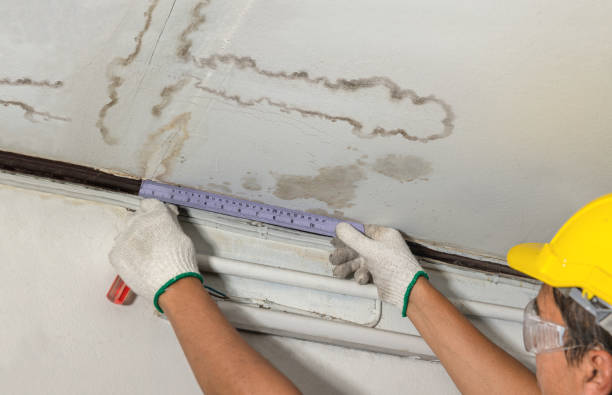 Reliable Mold Remediation contractor in Haslett, MI by Local Water Damage Repair